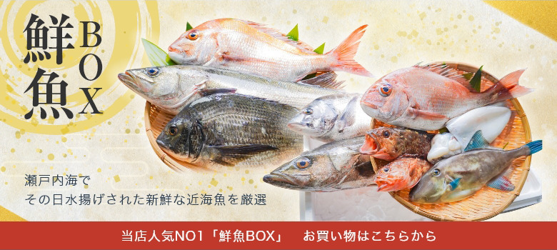 鮮魚BOX