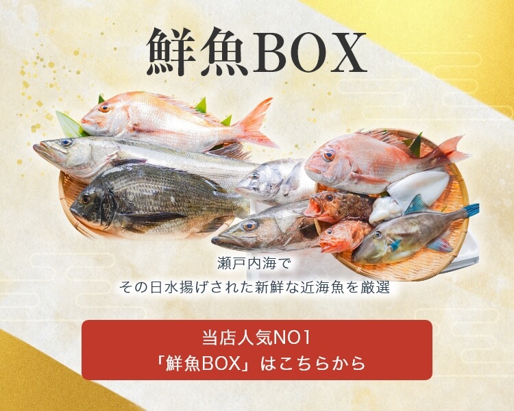 鮮魚BOX